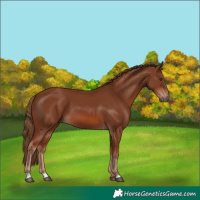 Horse Color:Chestnut 