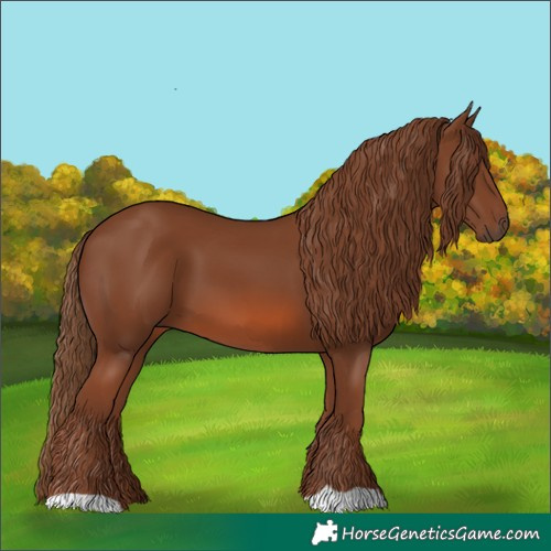 Horse Color:Chestnut 