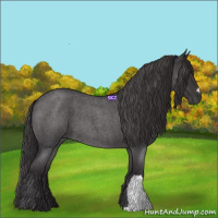 Horse Color:Smoky Blue Roan 