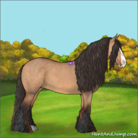 Horse Color:Bay Dun Splash 