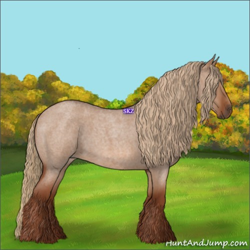 Horse Color:Red Dun Roan