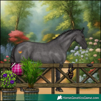Horse Color:Smoky Blue Roan 