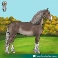 Horse Color:Silver Black 