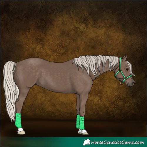 Horse Color:Silver Black 