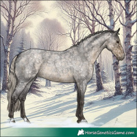Horse Color:Silver Smoky Blue Roan 