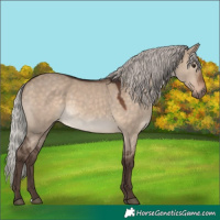Horse Color:Silver Brown Dun 