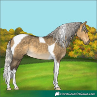 Horse Color:Silver Buckskin Dun Mushroom Tobiano 