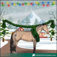 Horse Color:Brown Dun  and Brown Dun Splash 