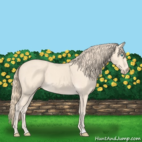 Horse Color:Perlino