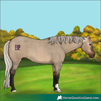 Horse Color:Gray Silver Brown Roan Dun 