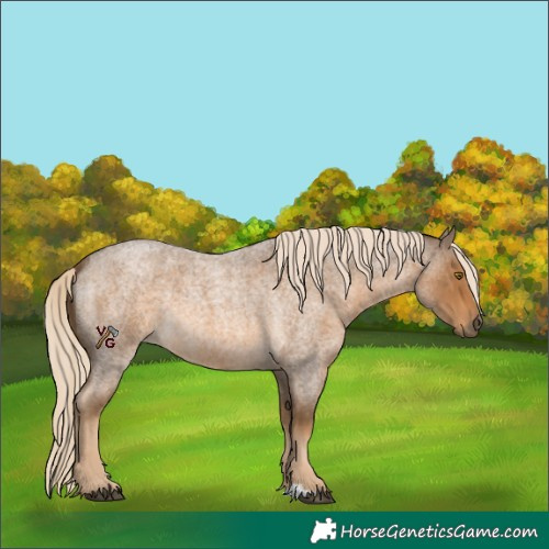 Horse Color:Chocolate Palomino Roan 