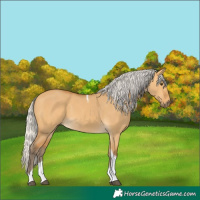 Horse Color:Silver Buckskin Dun Tobiano 