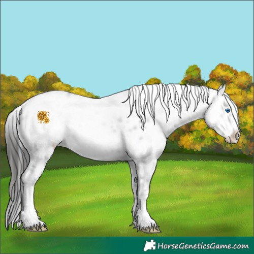 Horse Color:Liver Chestnut Frame 