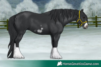 Horse Color:Black Frame