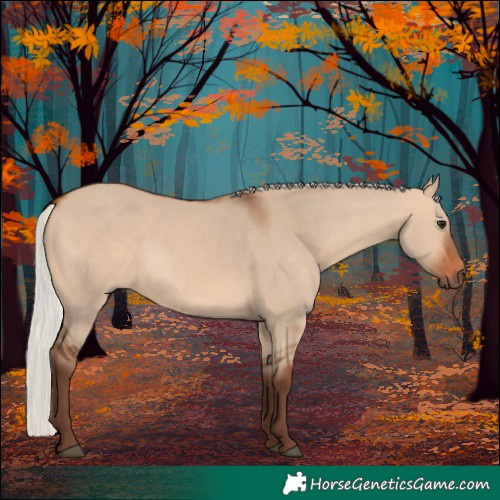 Horse Color:Silver Bay Dun