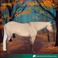 Horse Color:Silver Bay Dun 