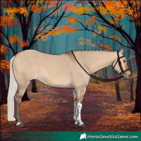 Horse Color:Silver Bay Dun Tobiano 