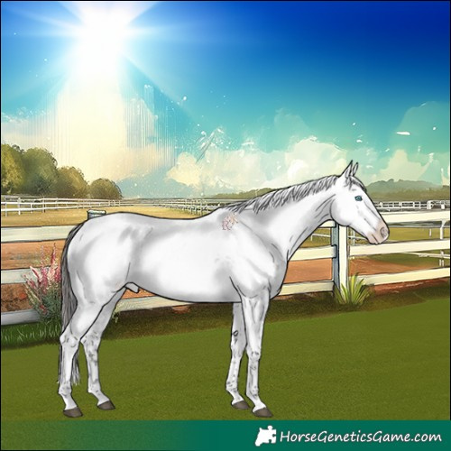 Horse Color:Liver Red Roan Frame 