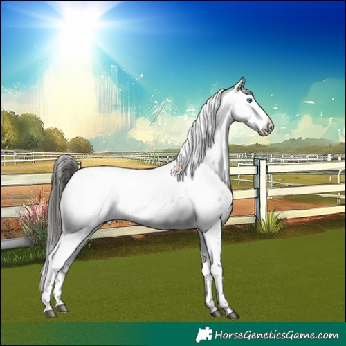 Horse Color:Liver Red Roan Frame 