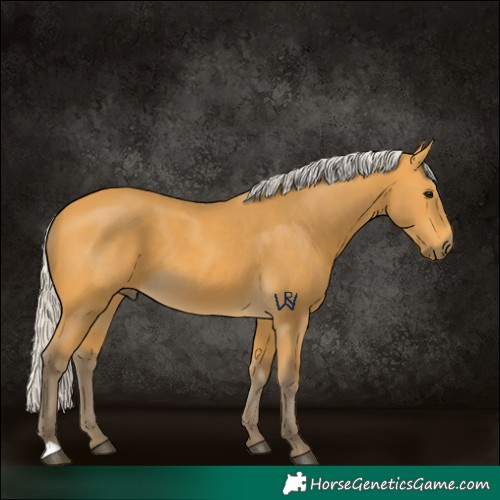 Horse Color:Silver Buckskin 