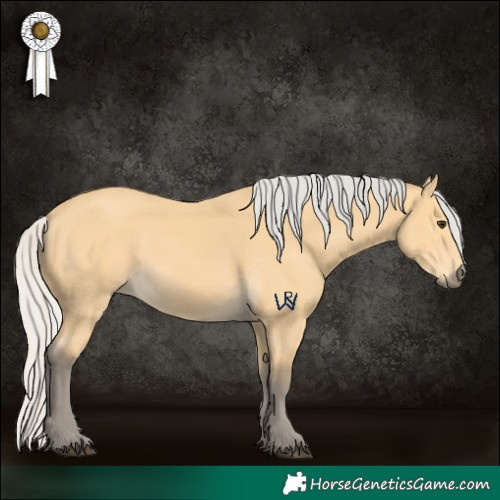 Horse Color:Silver Buckskin 