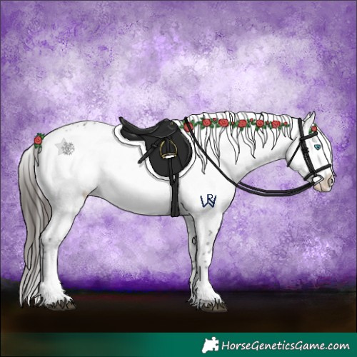 Horse Color:Liver Chestnut Frame 