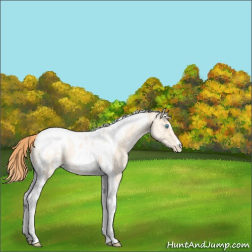 Horse Color:Classic Cream Champagne Ice Pearl Tobiano Varnish