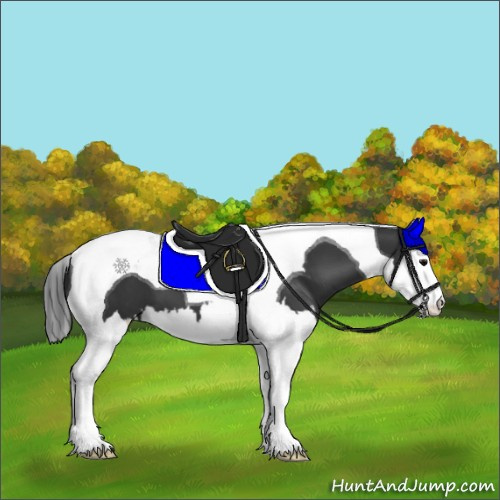 Horse Color:Black Splash Tobiano 