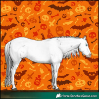 Horse Color:Black Frame