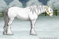 Horse Color:Liver Red Roan Frame