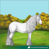 Horse Color:Liver Chestnut Frame 
