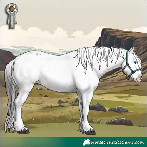 Horse Color:Liver Chestnut Frame 