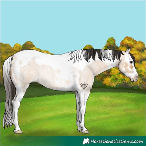 Horse Color:Bay Roan Dun Splash Tobiano Rabicano 