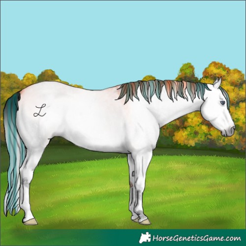 Horse Color:Gray Painted Bay Chinchilla Roan Dun Splash 