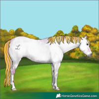 Horse Color:Gray Painted Watercolor White Spotted Red Onyx Roan 
