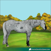 Horse Color:ERROR: UNKNOWN ANOMALY