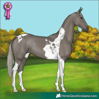 Horse Color:Silver Black Tobiano