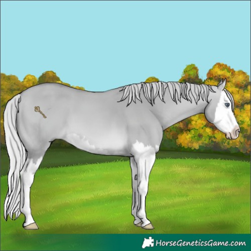 Horse Color:Silver Bay Chinchilla Dun Splash 