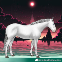 Horse Color:Liver Chestnut Frame 