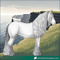 Horse Color:Black Frame 