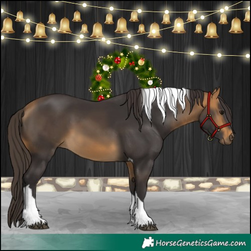 Horse Color:Buckskin Tobiano