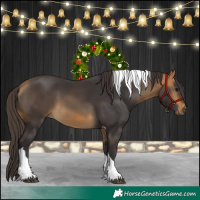 Horse Color:Buckskin Tobiano