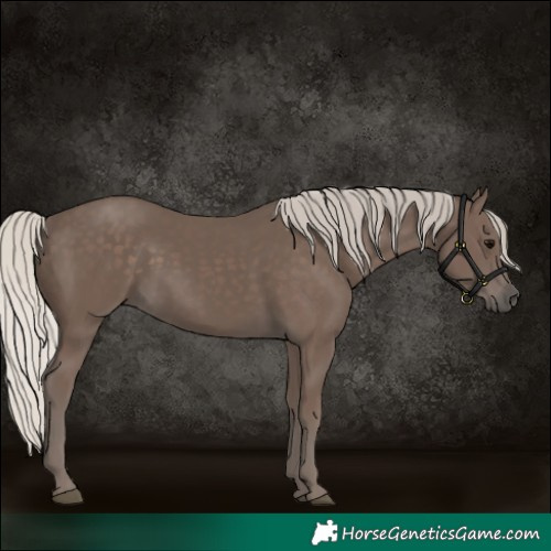 Horse Color:Silver Black