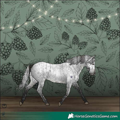 Horse Color:Buckskin Roan and Gray Smoky Black