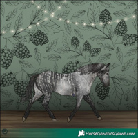 Horse Color:Buckskin Roan and Gray Smoky Black