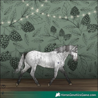 Horse Color:Buckskin Roan  and Gray Smoky Black 