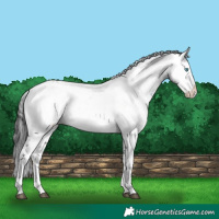 Horse Color:Black Frame 