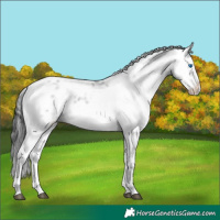 Horse Color:Black Frame 