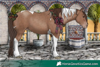 Horse Color:Classic Champagne Tobiano