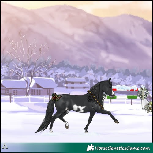 Horse Color:Black Frame 